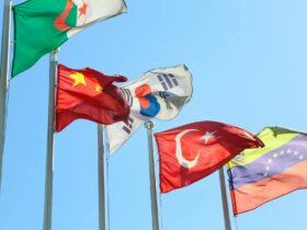 photograph of flag poles with different country flags