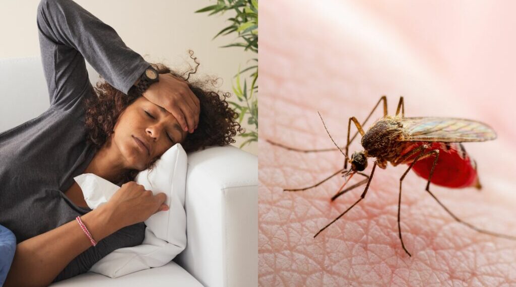 Dengue, febbre ‘spaccaossa’ ed eruzioni cutanee: parla chi è stato contagiato