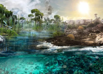 Così la CO2 influenzò i cambiamenti del clima nel tardo Paleozoico