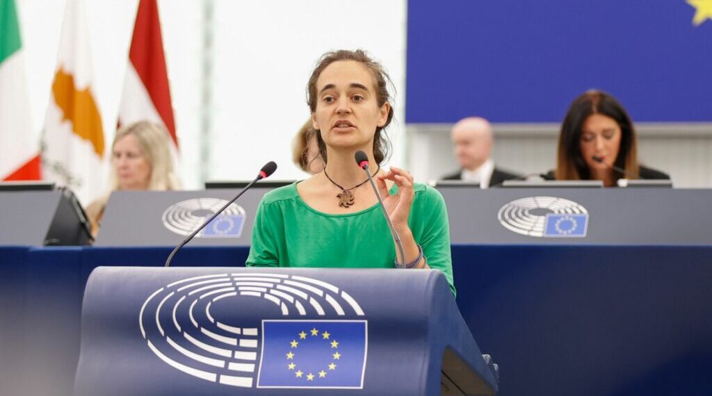 Rackete: «Il partito di Le Pen? Poco trasparente come quello di Meloni»