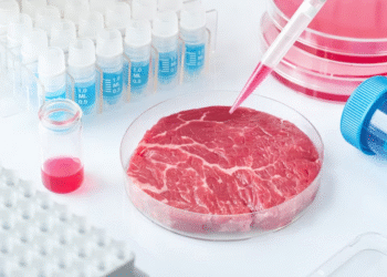 Carne coltivata, ecco cosa ne pensano gli italiani