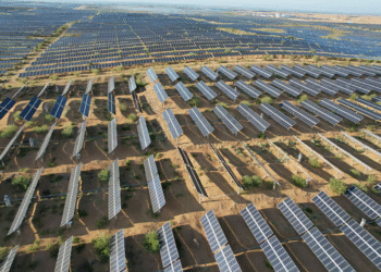 Qual è il futuro delle rinnovabili? Domineranno il panorama energetico