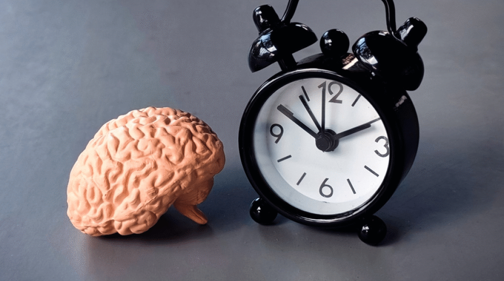 L’Alzheimer altera l’orologio interno delle singole cellule