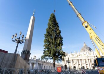 A San Pietro arriva l’albero di Natale: è un abete rosso di 25 metri proveniente dalla Val D’Ultimo