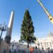 A San Pietro arriva l’albero di Natale: è un abete rosso di 25 metri proveniente dalla Val D’Ultimo