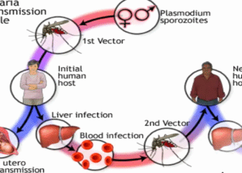 La malaria sigue siendo una amenaza global, advierte la OMS